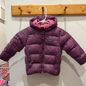 Patagonia Plum Puffer Jacket with Pink Lining